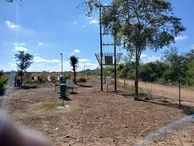 Farm & Agricultural Land