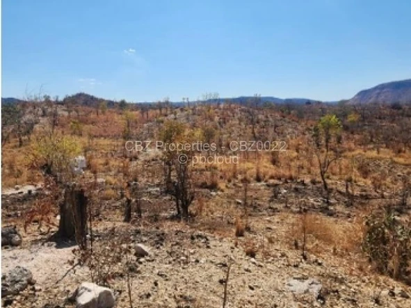 Commercial & Industrial Land