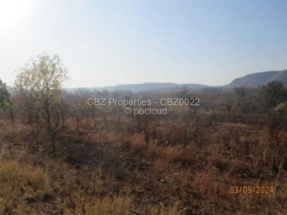 Commercial & Industrial Land