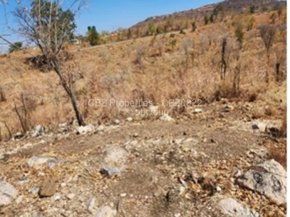Commercial & Industrial Land