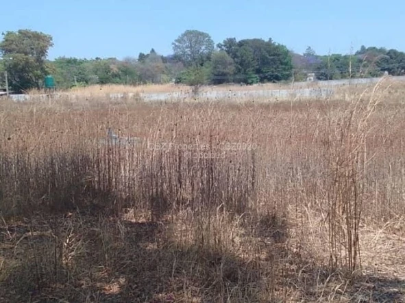 Land